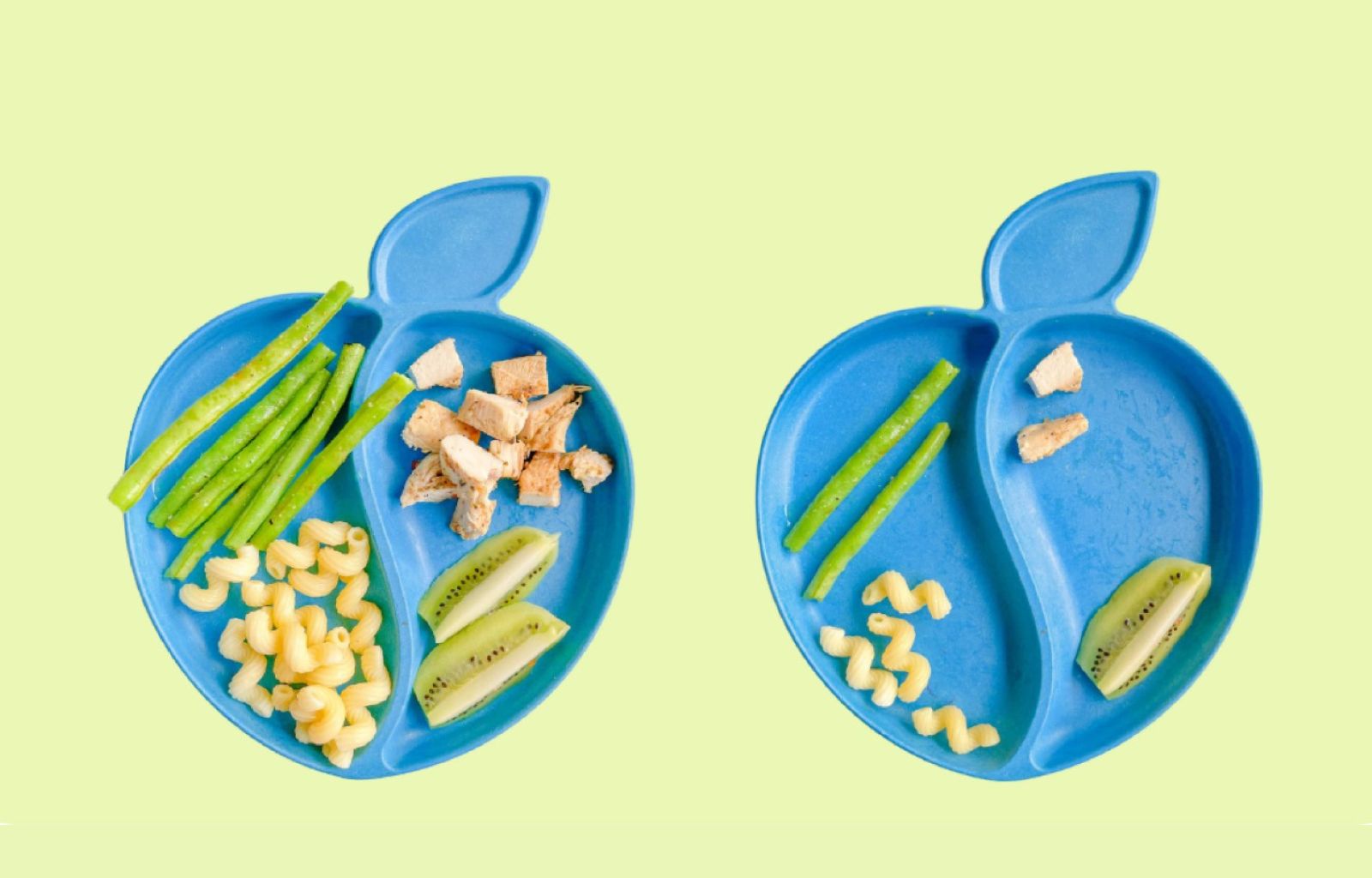 Entenda a divisão de responsabilidade na alimentação
