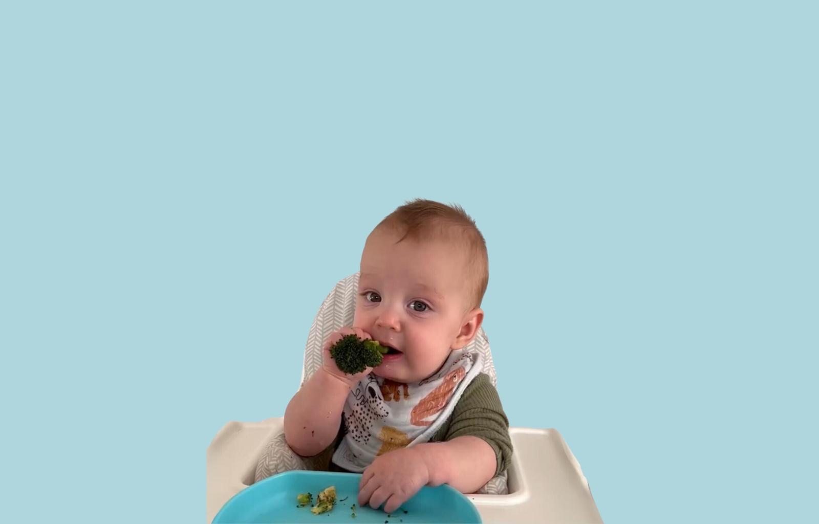 Don't Want Your Baby to Throw Food? Here Are 6 Things You Need to Know 1 why babies throw food