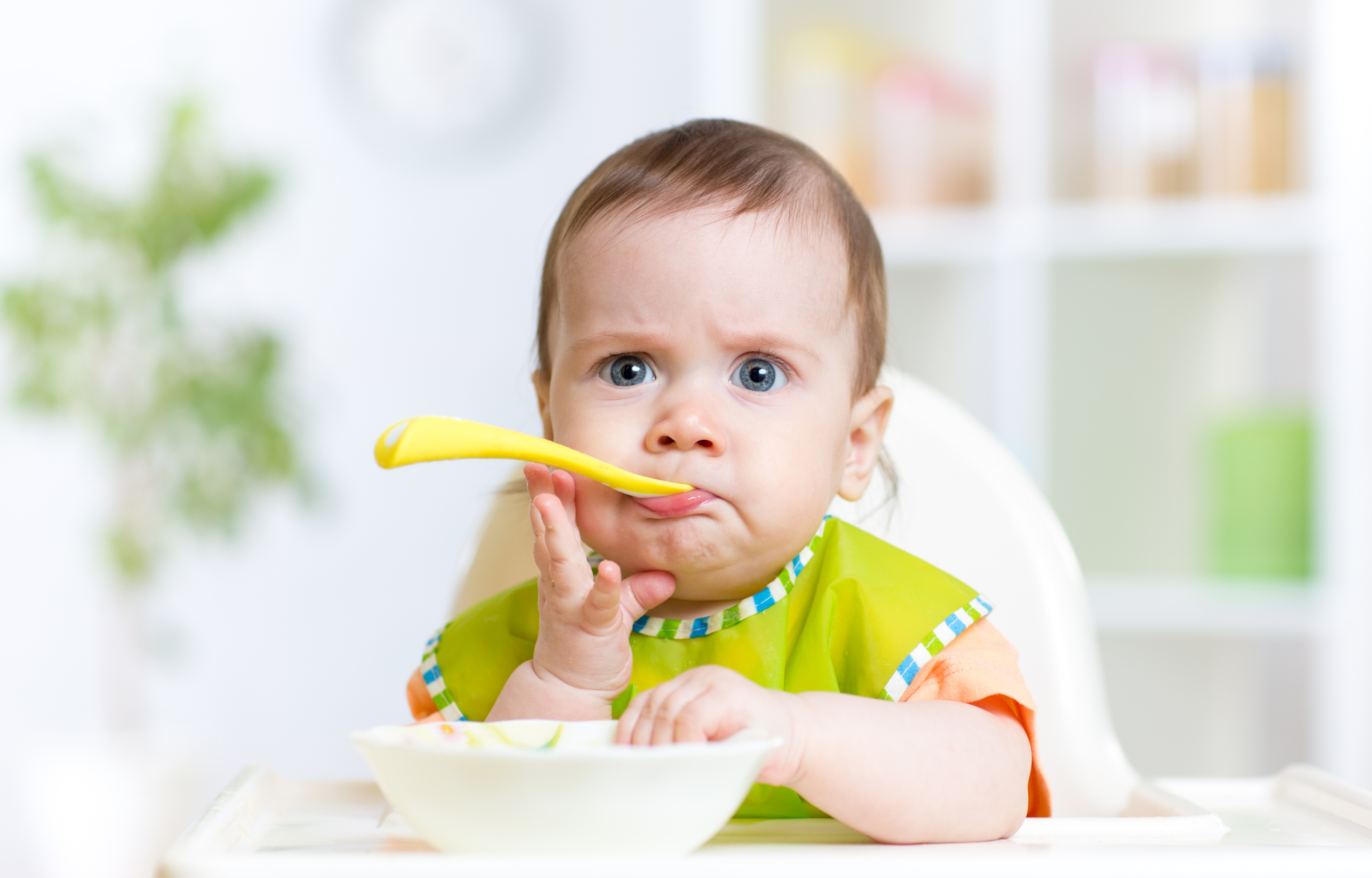 introducing foods quiz